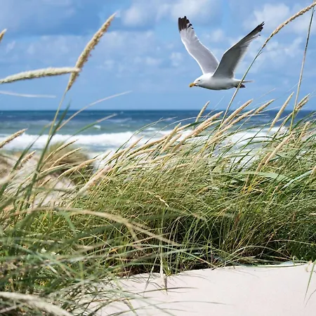 Apartman In With Stunning Sea View *